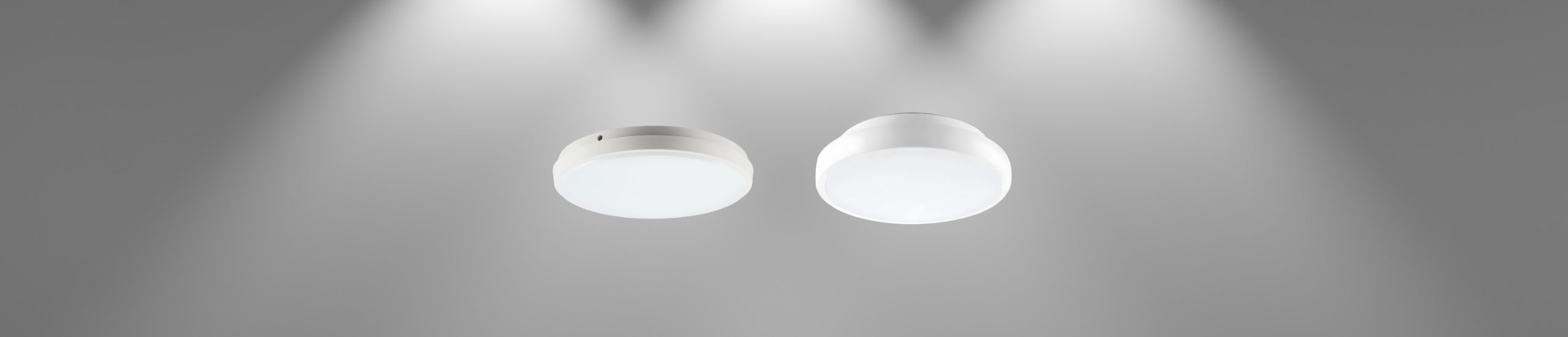 Oyster Lighting