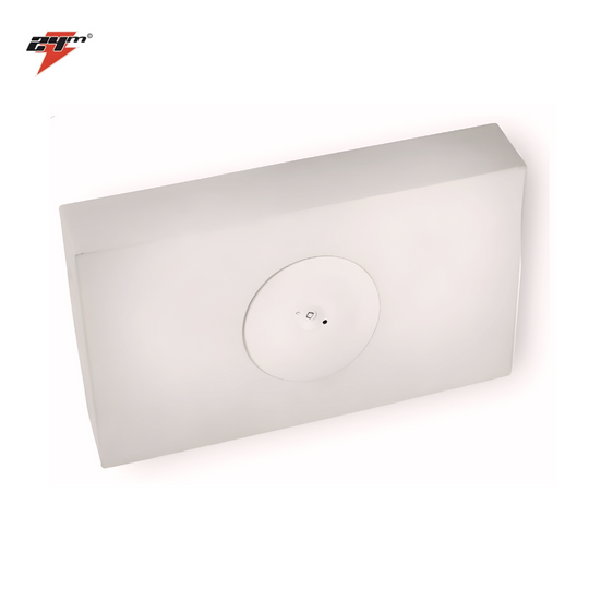 Spitfire D40 Rated Emergency Light, Surface Mount Li-ion Battery