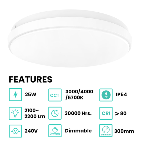 oyster ceiling light features