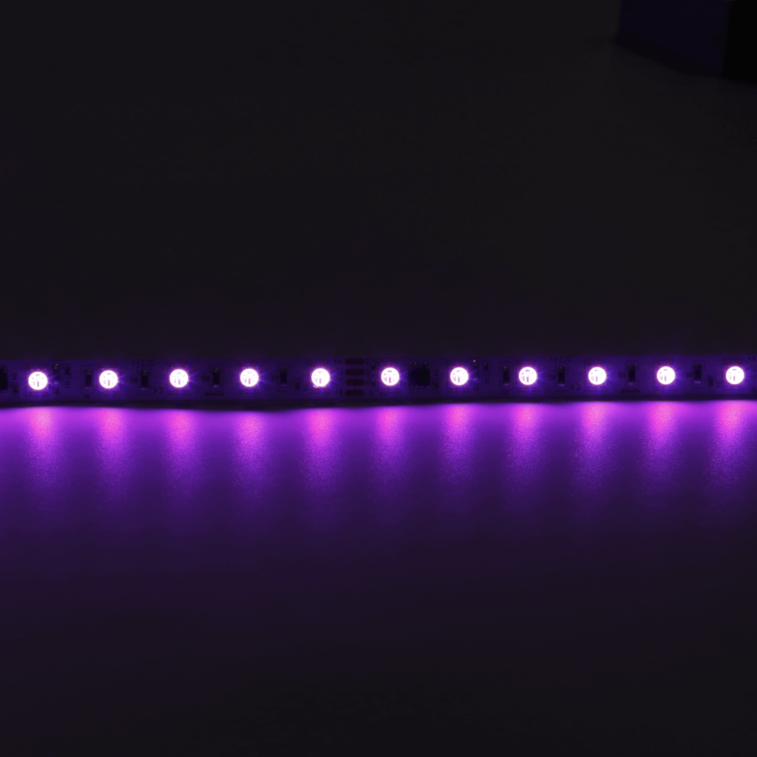 Dee Why IP20 strip light 5m roll