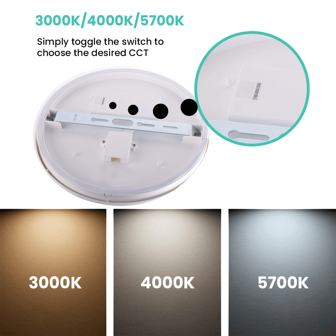 oyster ceiling lights