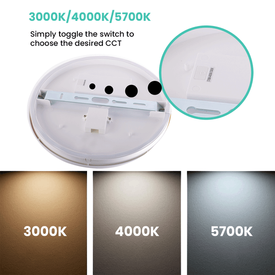 oyster ceiling lights
