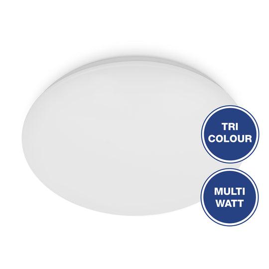 Sandy oyster ceiling light - Energetic lighting