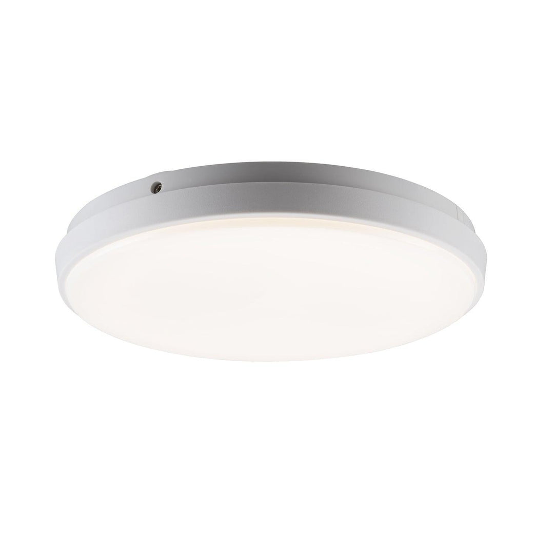 oyster ceiling light