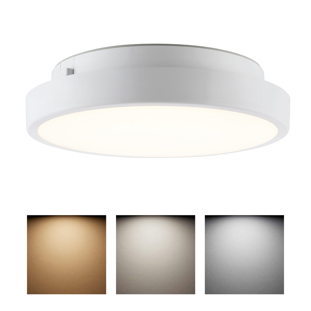 10W tricolour ceiling light