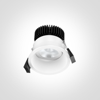 2700K Architectural Lighting - Downlight Fitzroy