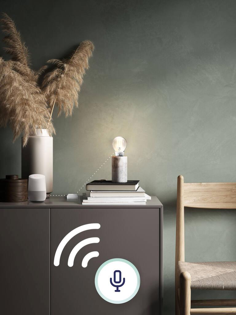 Smart Lighting is The Future of Lighting Industry | Australia – elekzon